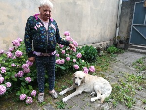 Преминуо Жика Обретковић, живописна легенда београдских улица