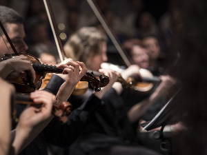 Камерни концерт – Композиције Витјелсава Новака