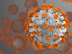 Механизам инфекције ковид 19