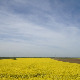 	Фолдер Србија: Вршачка кула 
