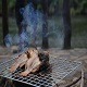 Широм затворених очију  	