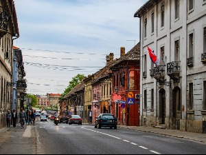 Јак олујни ветар у Новом Саду оборио дрво