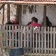 Женидба као добитак на "Лотоу" – у село Параду после четири деценије дошла прва снаја
