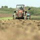 Сетва кукуруза касни у топличком крају, саветују се хибриди са краћом вегетацијом