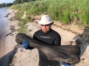 Кост мамута  из леденог доба, откривена у реци на Флориди