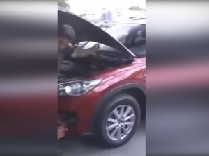 Теслина школа