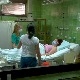 Бабица Биљана сада је члан породице у којој је рођена Неда