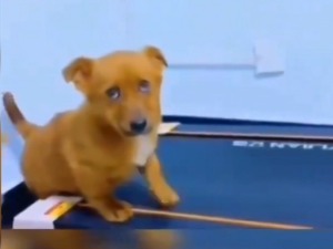 Паклени тренинг