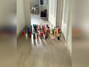 Нинџиним стопама