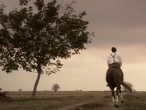  1001 Траг - Ноћ је тија месечина сија - Звонко Богдан 