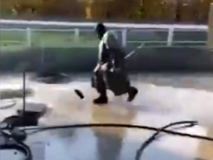 Плес по киши