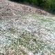 Град нанео штету рудничком крају - кукуруз се не види у њиви, за 10 минута преполовљен род