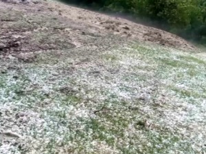 Град нанео штету рудничком крају - кукуруз се не види у њиви, за 10 минута преполовљен род