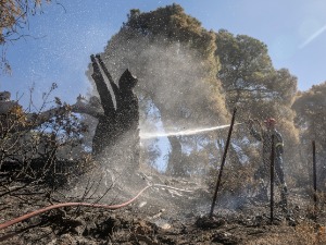 Велики пожар у Грчкој, изгорело више од 4.000 хектара шуме Велики пожар у Грчкој, изгорело више од 4.000 хектара шуме