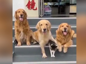 Хајде на сликање