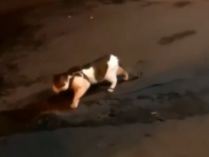 Батали, брате