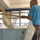 Развојни пут шарана – од епрувете до трпезе