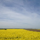 Фолдер Србија: Филмови Ернеста Бошњака
