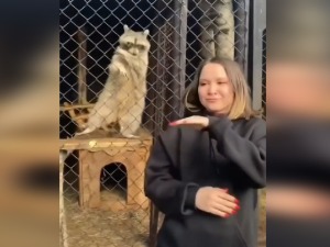 Ко кога имитира