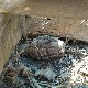 Две бомбе из Другог светског рата пронађене код Варварина