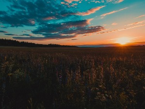 Ритам раног јутра