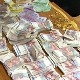 ЕУ пооштрила правила –  колико се новца у готовини може пренети преко границе