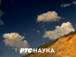 Еко-перспективе:	 Професор Чедо Максимовић