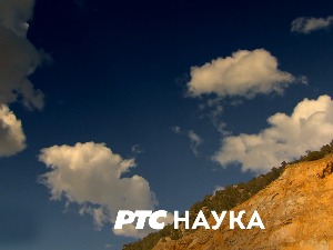 Одисеј:	 Будућност човечанства зависи од пчела