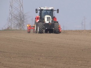 Како неки пољопривредници покушавају да насамаре надлежне и добију субвенције