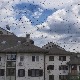 Најезда оса на Бежанијској коси, станари солитера већ месец дана не отварају прозоре