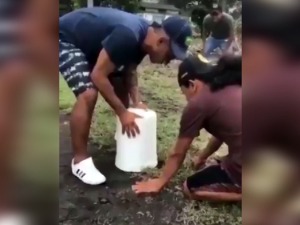 Велико ишчекивање