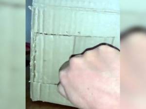 Ту сам. Шта хоћеш?