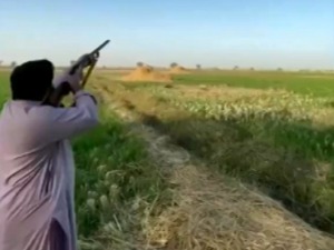 Право у мету