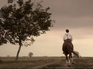  1001 Траг - Још не свиће рујна зора - Мирко Рондовић 