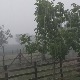 Невреме у Западној Србији, олуја носила црепове и ломила дрвеће, расхлађење стигло и у Београд