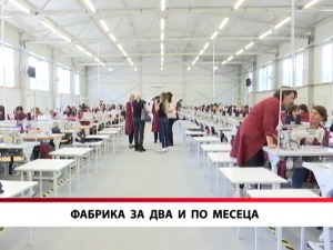 Фабрика за два и по месеца