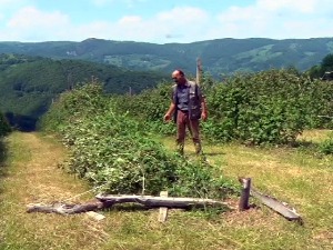 Стрелци нису успели да одбране род од невремна, штета се тек процењује
