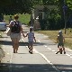 Цео Блок 45 трагао за несталим трогодишњаком, да ли предатори вребају децу из жбуња