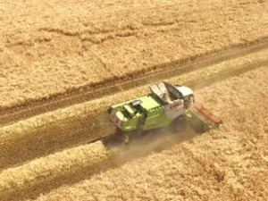 Године мерене жетвама - агроном Драган Васић пола века је био веран једној земљорадничкој задрузи