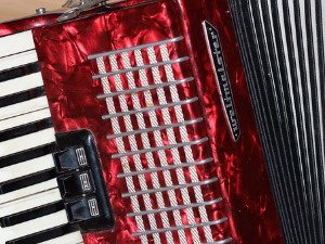 Век хармонике – Композиције Јохане Додерер