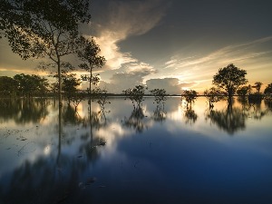 Ритам раног јутра