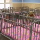 Какво је стање у домовима за децу са сметњама у развоју и може ли боље