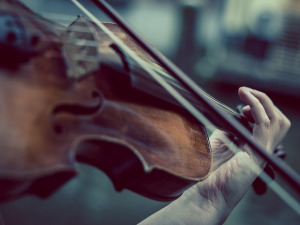 Свирај свирче - виолина