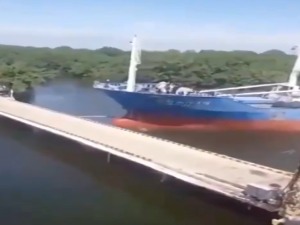 Мостоломац