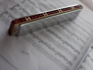 Свирај свирче - усна хармоника