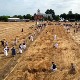 У Ђурђину чувају традицију – рисари и рисаруше удружени у жетви пшенице