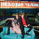 Небојша Челик: Како преживети модерна времена