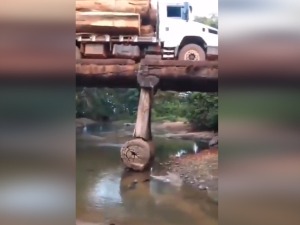 Ја бих га протерао овуда