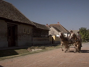  1001 Траг - Коштанин мекам чочек - Божидар Боки Милошевић 