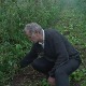 Кад целе године радиш, а град ти збрише све – голијска села очекују помоћ